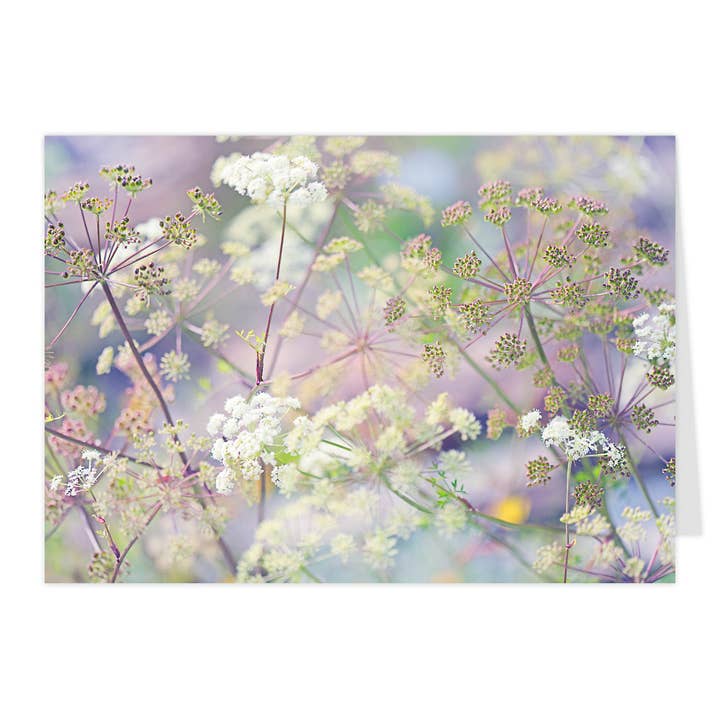 Tarjeta plegable "Encanto de Dolden" para venta al por mayor de paruspaper. nutzfeine papeterie