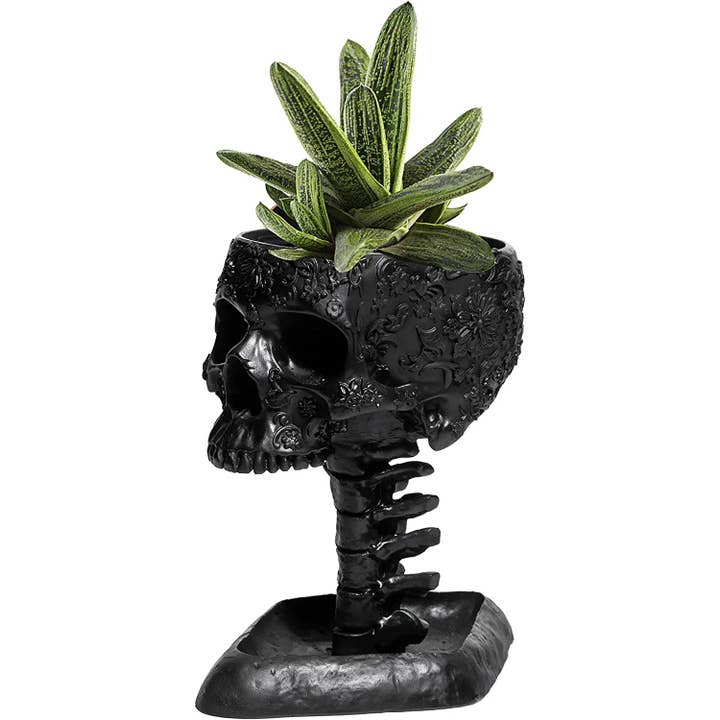 Maceta con Cráneo y Columna Vertebral para venta al por mayor de The Wine Savant / Khen Glassware