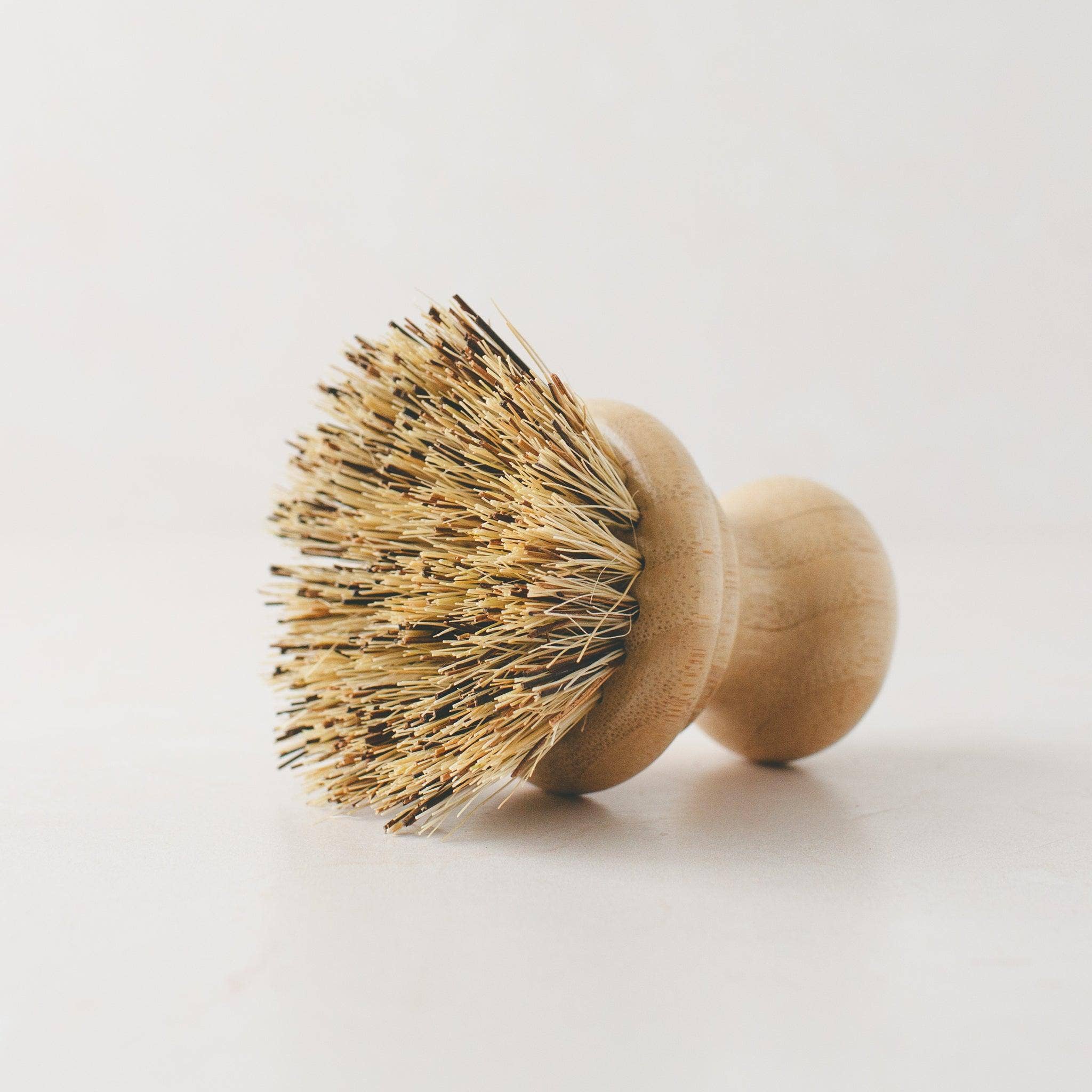 Simple Alchemy Co - Wholesale Cleaning Brush - Compostable Pot Scrubber Brush3