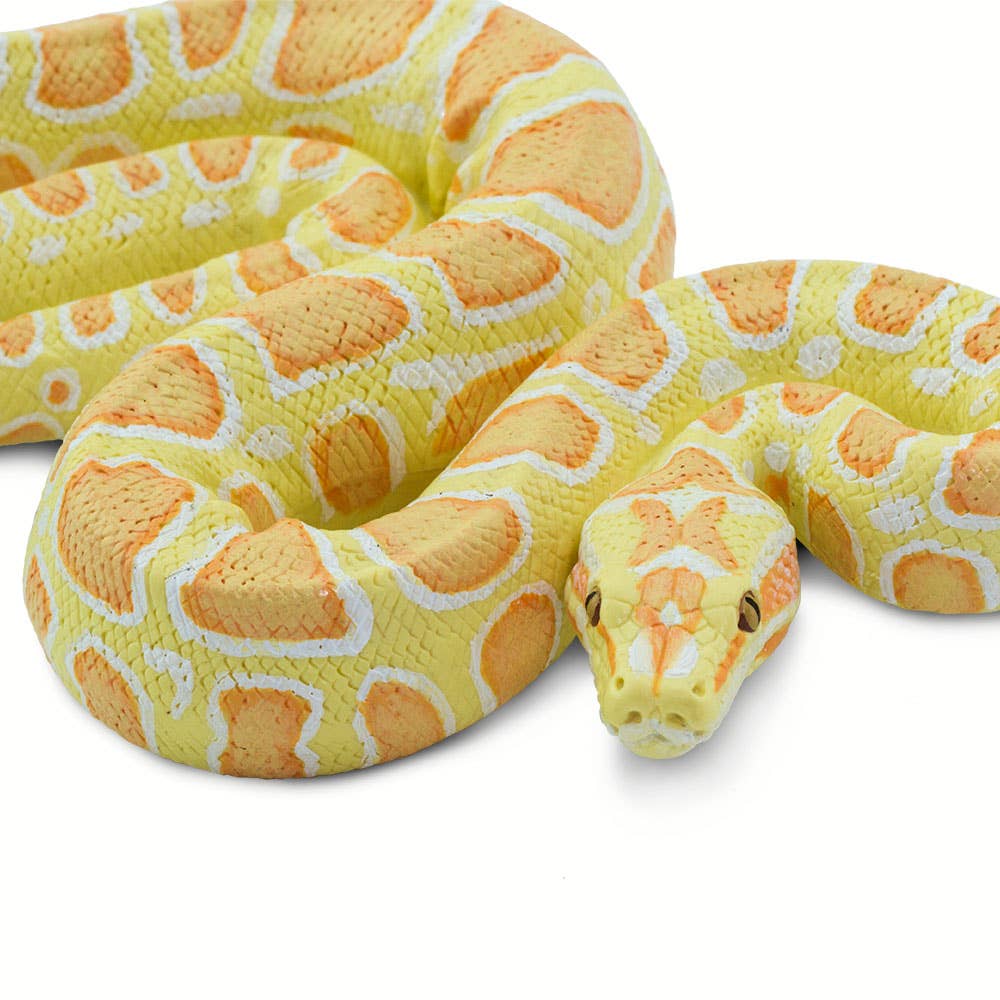 Safari Ltd. - Wholesale Decorative Figurine - Albino Burmese Python - 1002507