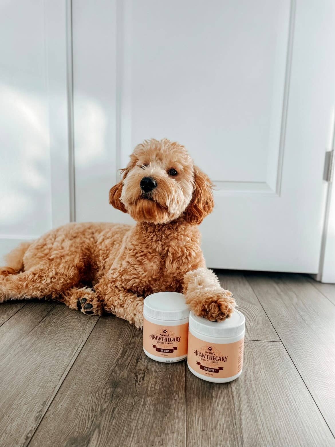 Sophie's Apawthecary® - Wholesale Pet Grooming Aid - Dog - Dog & Cat Ear Wipes6