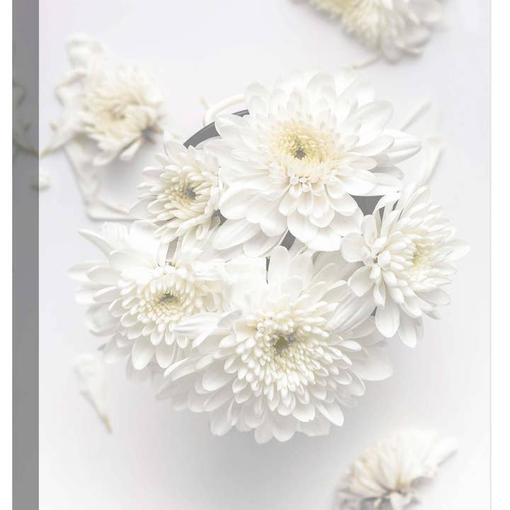 Hd Flower Ii Décoration murale sur toile 22 x 20 po pour la vente par PTM Images