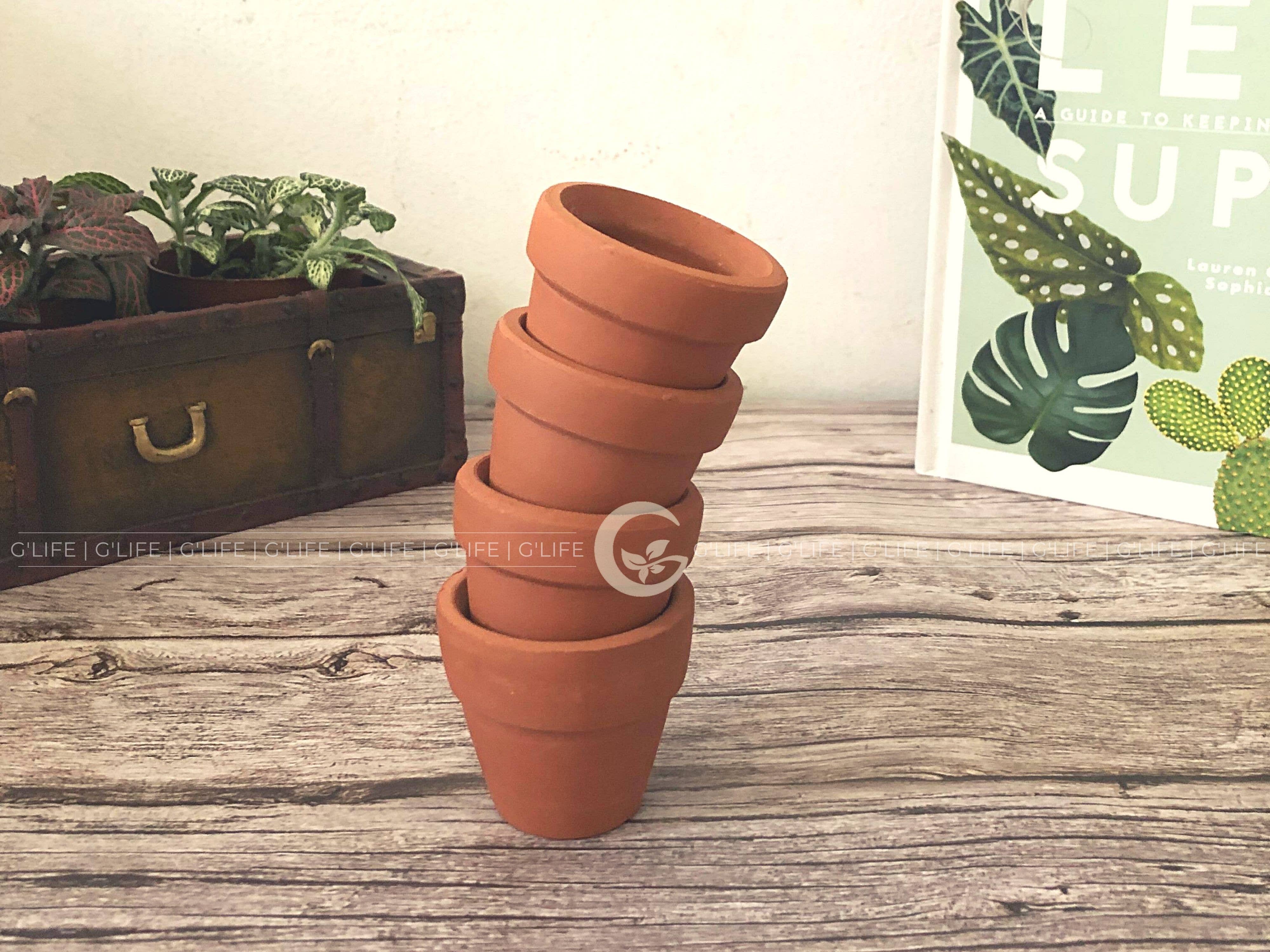 GLifee - Wholesale Plant Pot - 2" Tiny Terracotta Clay Plant Flower Pot - Drainage Hole9