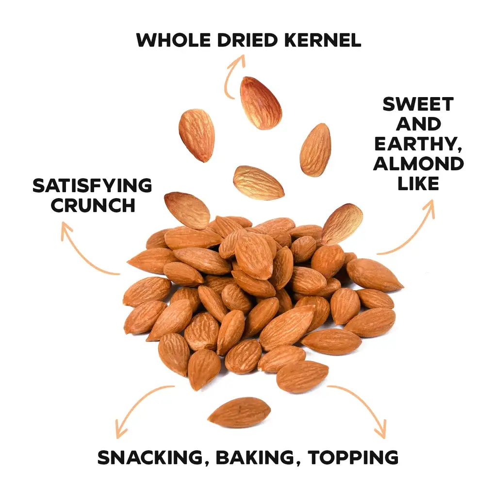 Biggbrands GmbH - Wholesale Fruit Snacks - Drybox Sweet apricot kernel - doypack (456gr) 16OZ3