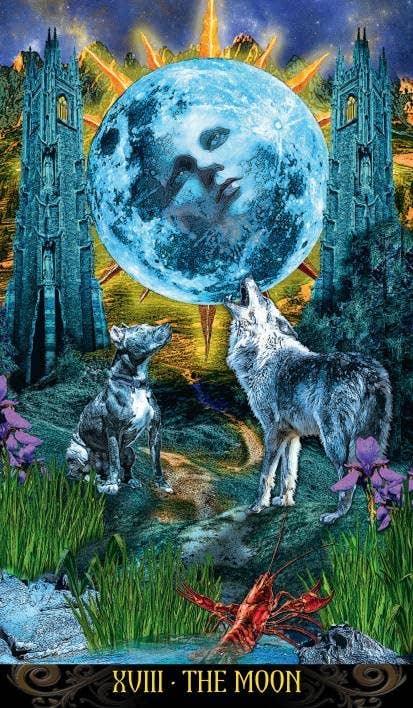 Cardshouse - Wholesale Tarot Cards - Illuminati Tarot cards (new edition) Lo Scarabeo6