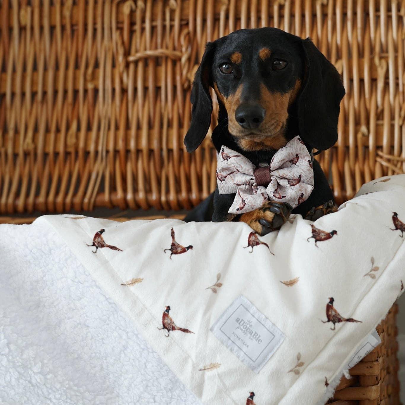 The aDoraBle Pooch Company – wholesale Pet bow tie – Dog – Dog Sailor Bow Tie - Farmland Pheasant1