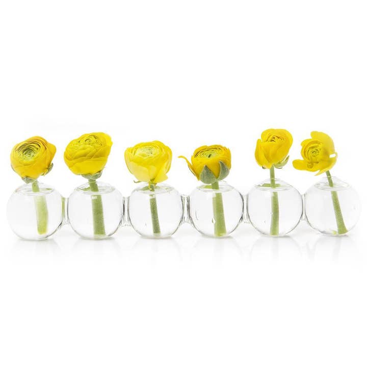 Caterpillar Clear Glass Bud Vase Long. Small And Large for wholesale by Chive