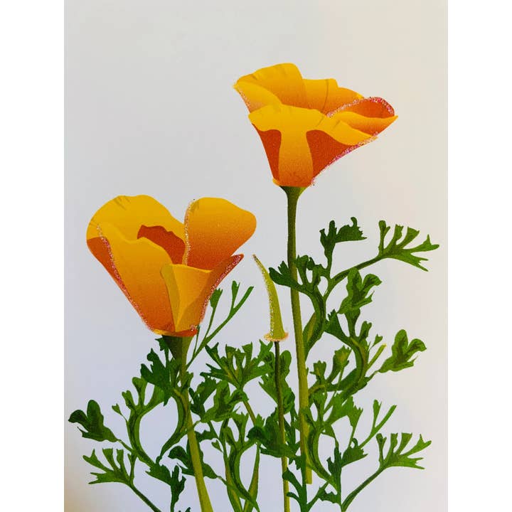 Studio Daedre - Wholesale Stationery/Notecard Set - California Poppy Flower, Everyday Card - Boxed Note Cards