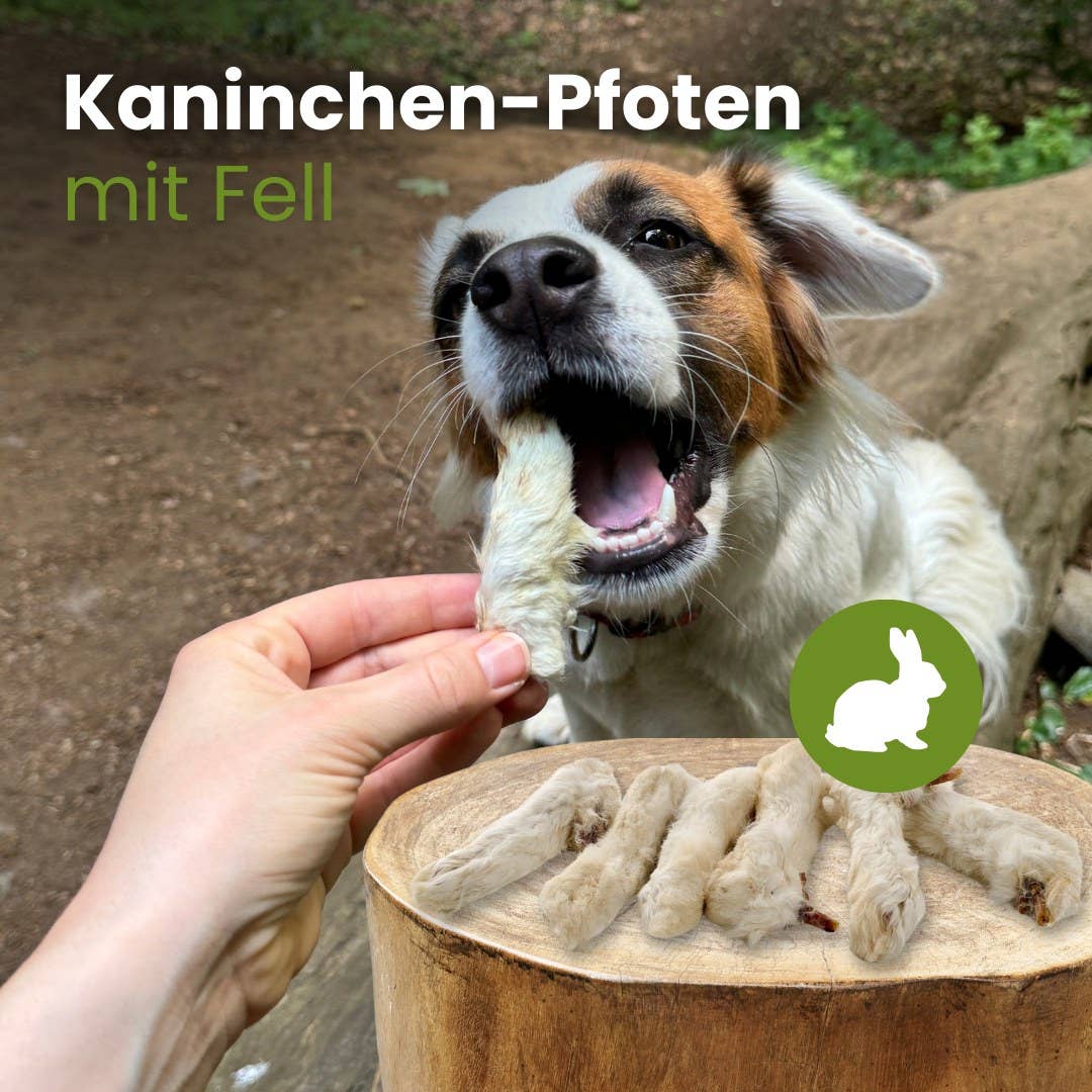 Kauartikel.com GmbH – wholesale Hundben/bitleksak - Hund – Kaninpälsade tassar1