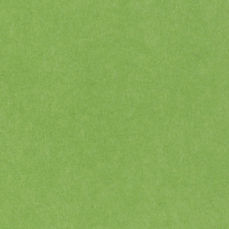 Farm and Finch Creative - Wholesale Everyday Greeting Card - Anna's Hummingbird Card5