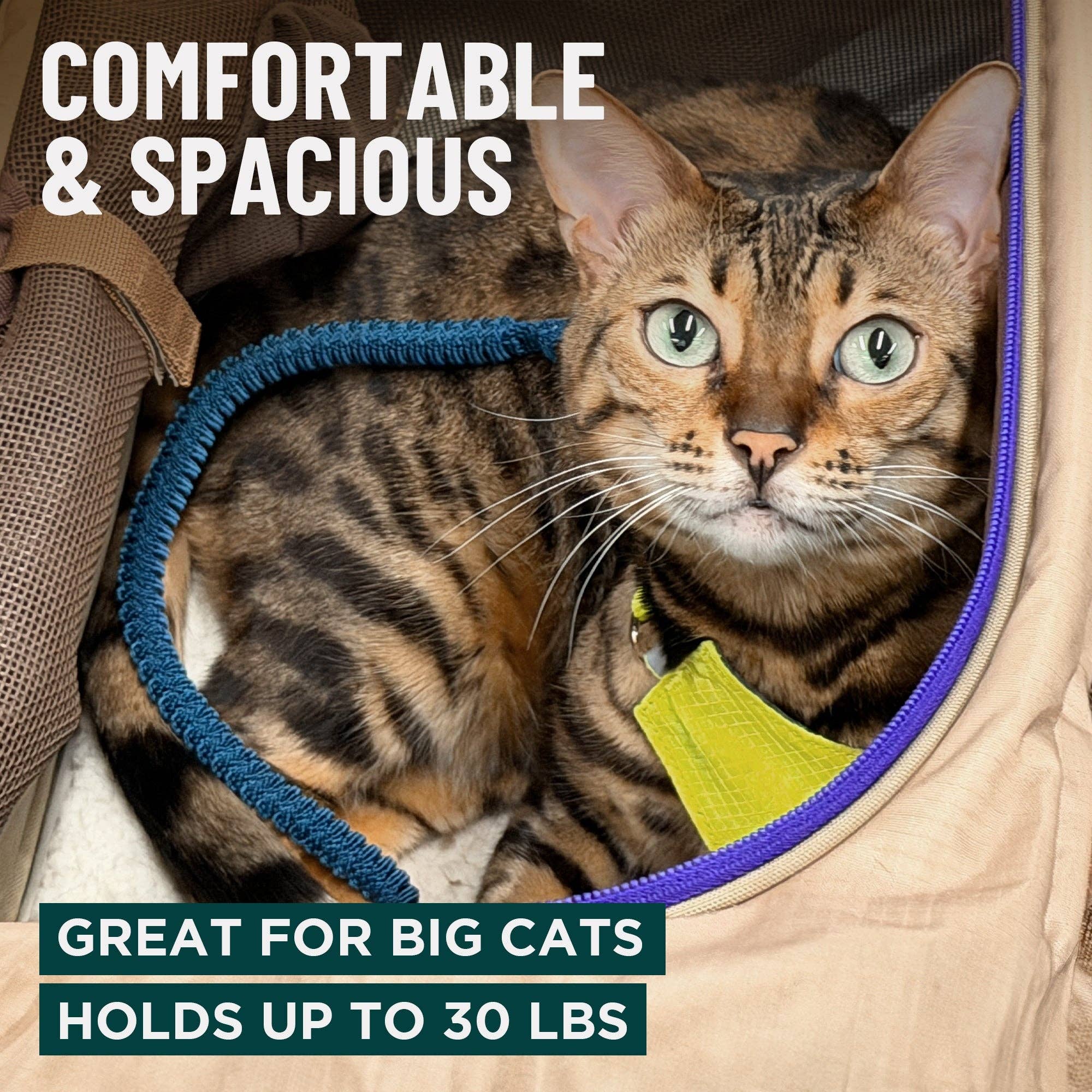Outdoor Bengal - Wholesale Pet Carrier - Cat/Dog - ZEPPELIN™ Airline-Approved Cat Carrier3