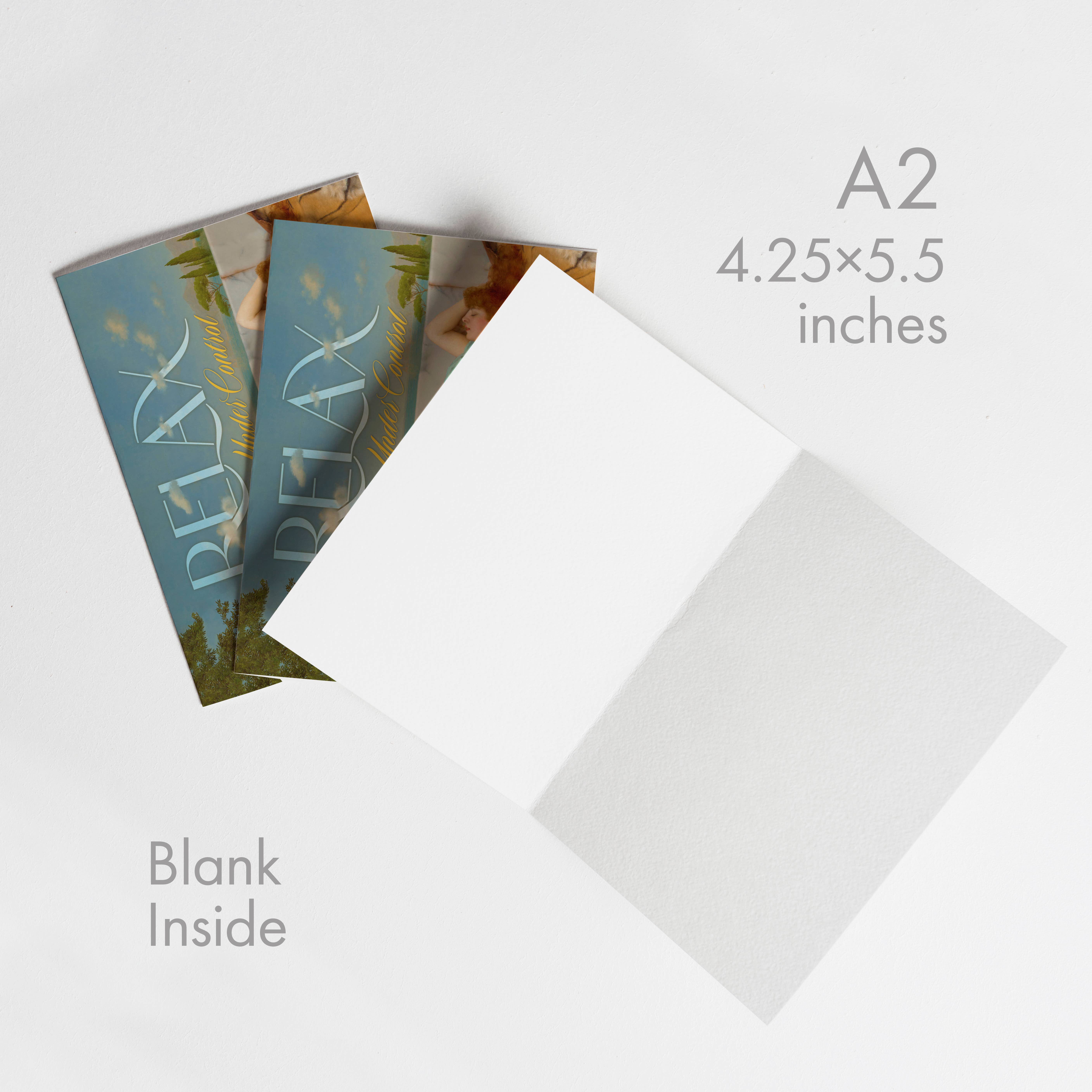 Typeset Studio - Wholesale Everyday Greeting Card - Relax Nothing is Under Control - Greeting Card1