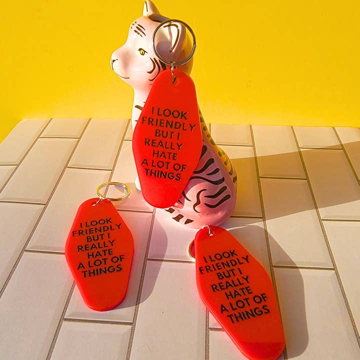 PORTE-CLÉS JE PARAIS SYMPATHIQUE MAIS JE DÉTESTE VRAIMENT BEAUCOUP DE CHOSES pour la vente par TEAM JEMINI DESIGNS