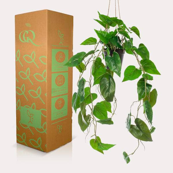 Oasis of Life - Wholesale Artificial plant - Artificial Philodendron Hanging Plant – 80cm Length – Realistic Artificial Houseplant – Evergreen & Easy to Care for – For Living Room, Office & Decoration3