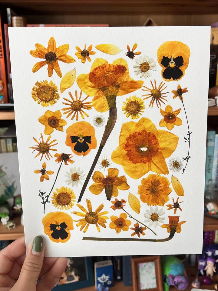 Pressed Flower Art Print: Giclée, Pansy & Daisy for wholesale by Owlhaired Designs