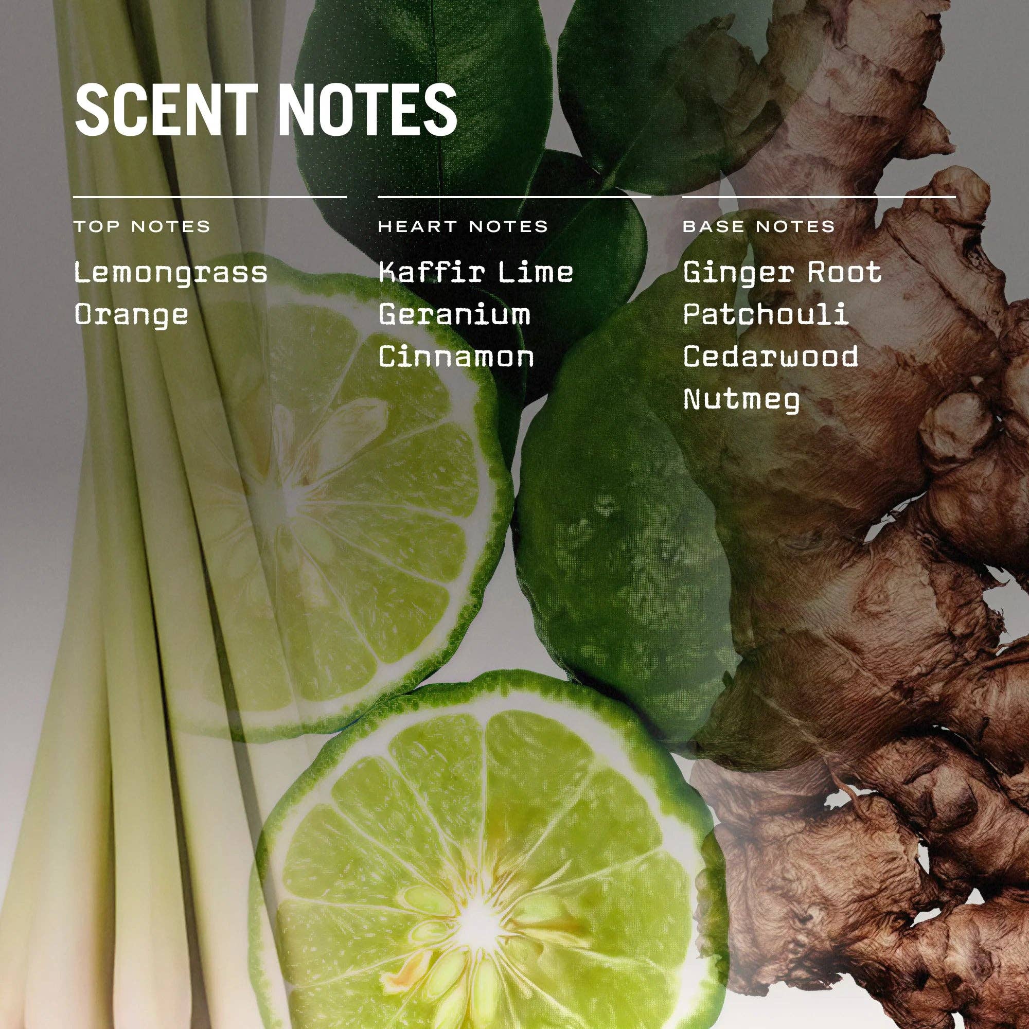 Russell + White - Wholesale Jar/Filled Candle - Eastern Garden 250g Scented Soy Candle4