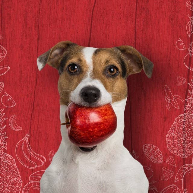 Tippy Taps Treats - Wholesale Pet Treats - Dog - Natural Dog Treats, Sweet Apple Chews 100gr, Vegan Gluten Fr5