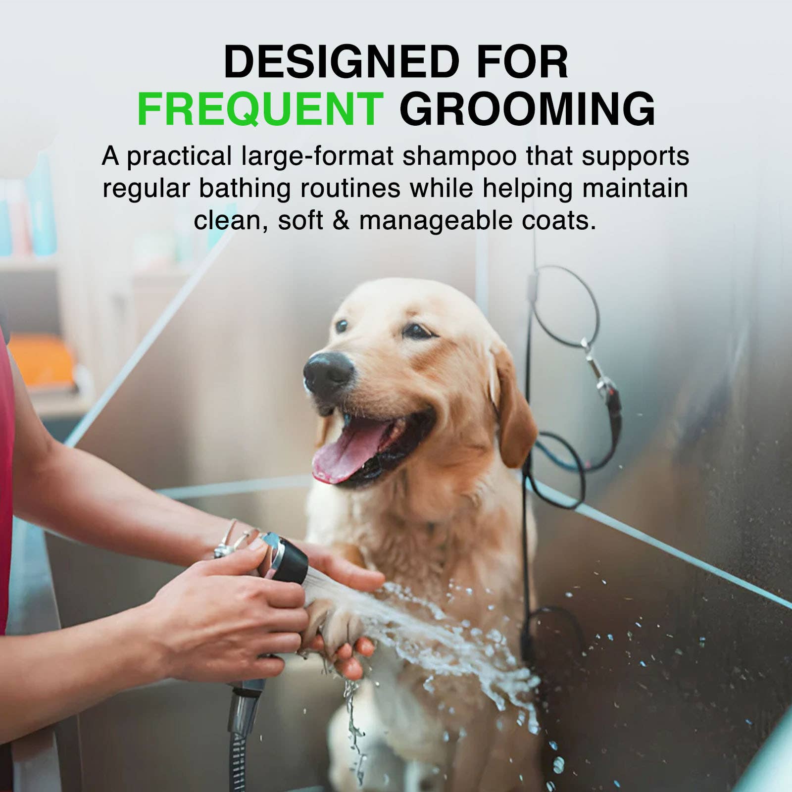 Enviro Fresh - Venta al por mayor Champú - Perros - Champú para perros 4 en 1 con aroma a té blanco y pepino, 3,7 L3