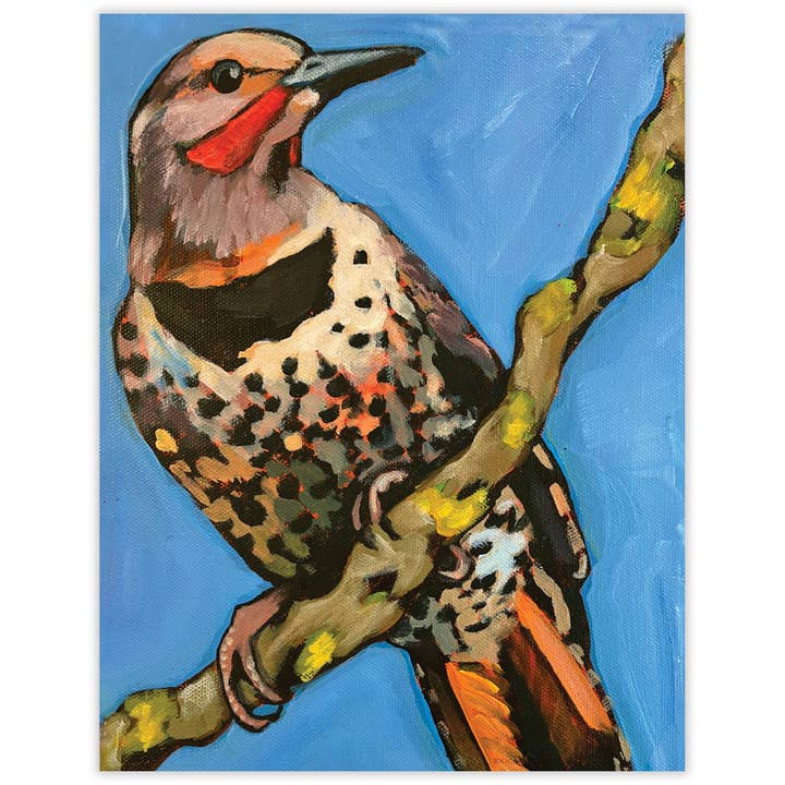 Carte-notes blanche Northern Flicker pour la vente par Waterknot