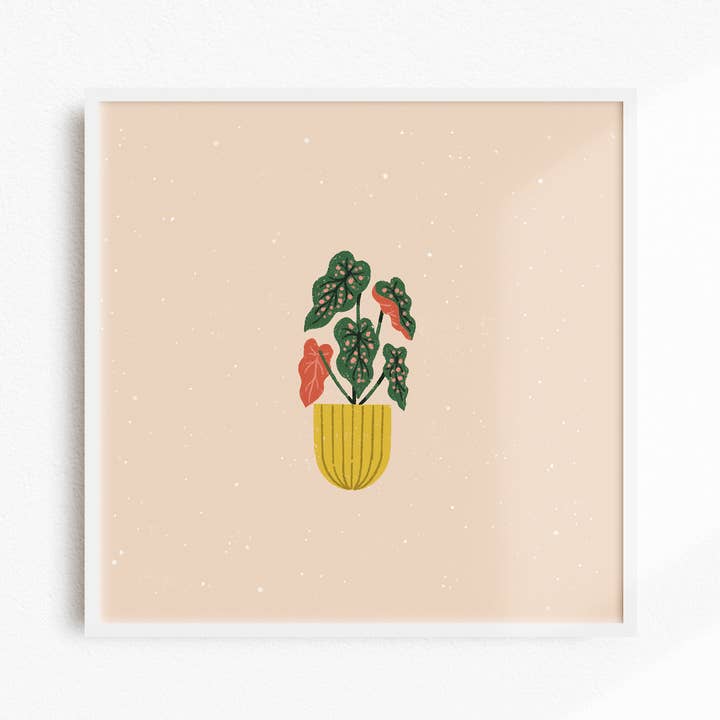 Impression d'art | Bégonia | 12x12 pour la vente par Wild Vine Creative