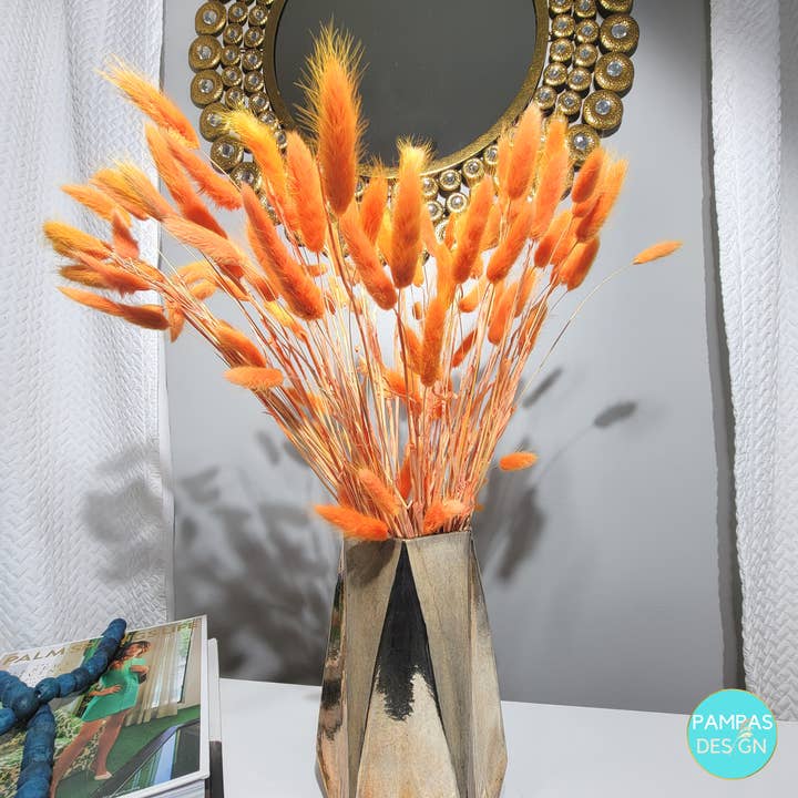 Bunny Tails in Orange 60 Stems for wholesale on Faire2