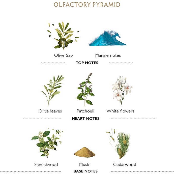 Panier Des Sens - Wholesale Facial Moisturizer - Men's - Anti-pollution face gel-cream 75ml | L'Olivier2