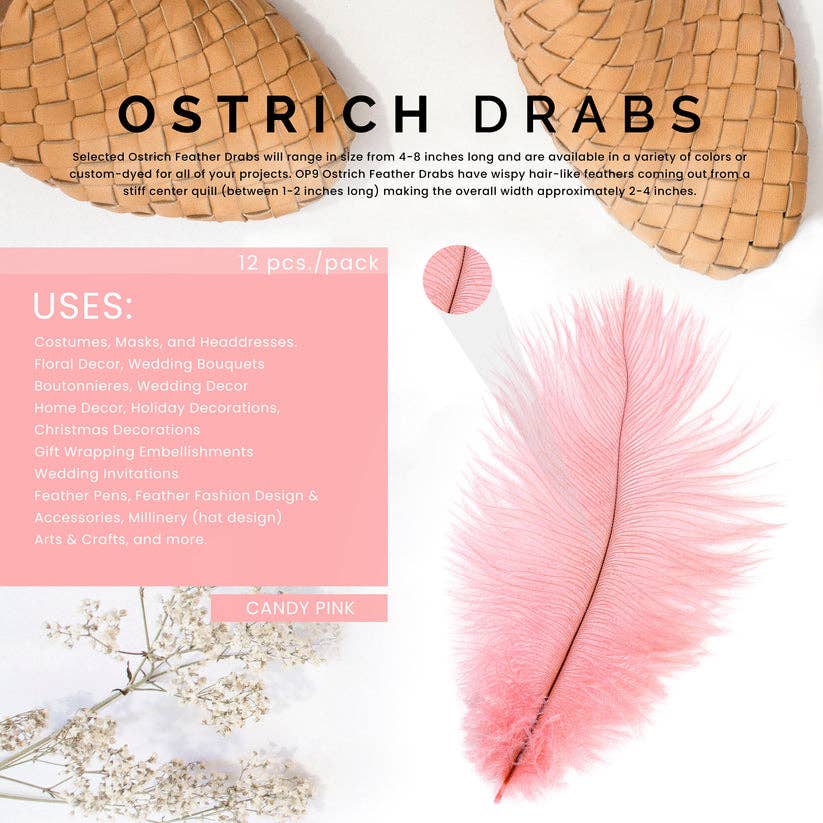 Zucker Feather Products - Wholesale Feathers - Ostrich Feathers 4-8" Drabs - Candy Pink4