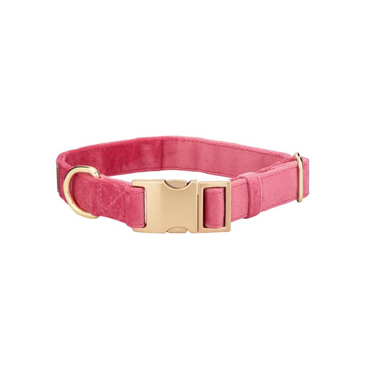 Pink Papyrus | Premium, Durable, & Stylish Dog Products - Wholesale Pet Collar - Dog - Ella Dog Collar | Pink Dog Collar | Dog Collar