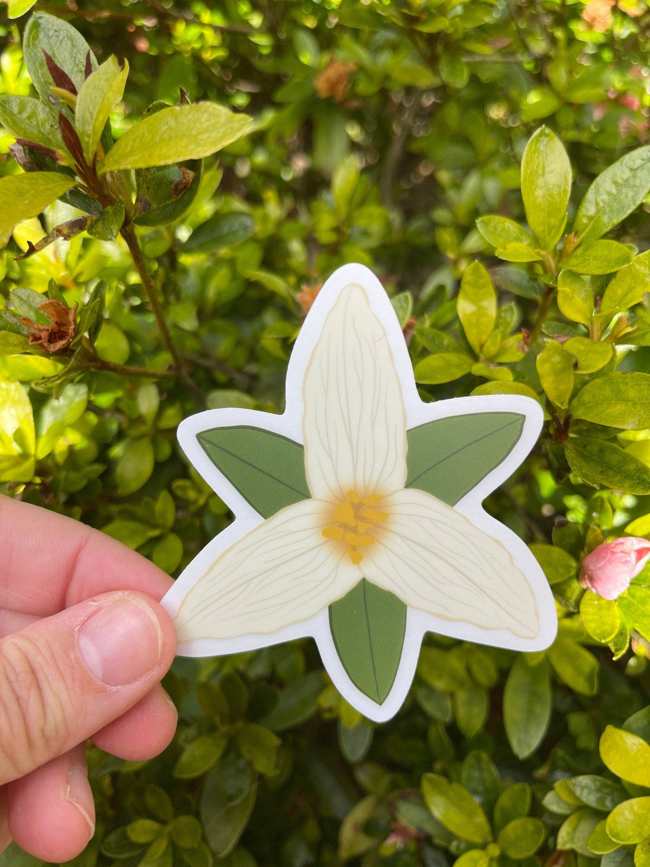 Coastal Haze Designs - Wholesale Sticker - White Trillium Clear Sticker1