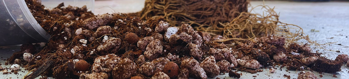 Found Things Plant Shop - Wholesale Planting/Potting Soil - Aroid Potting Soil6