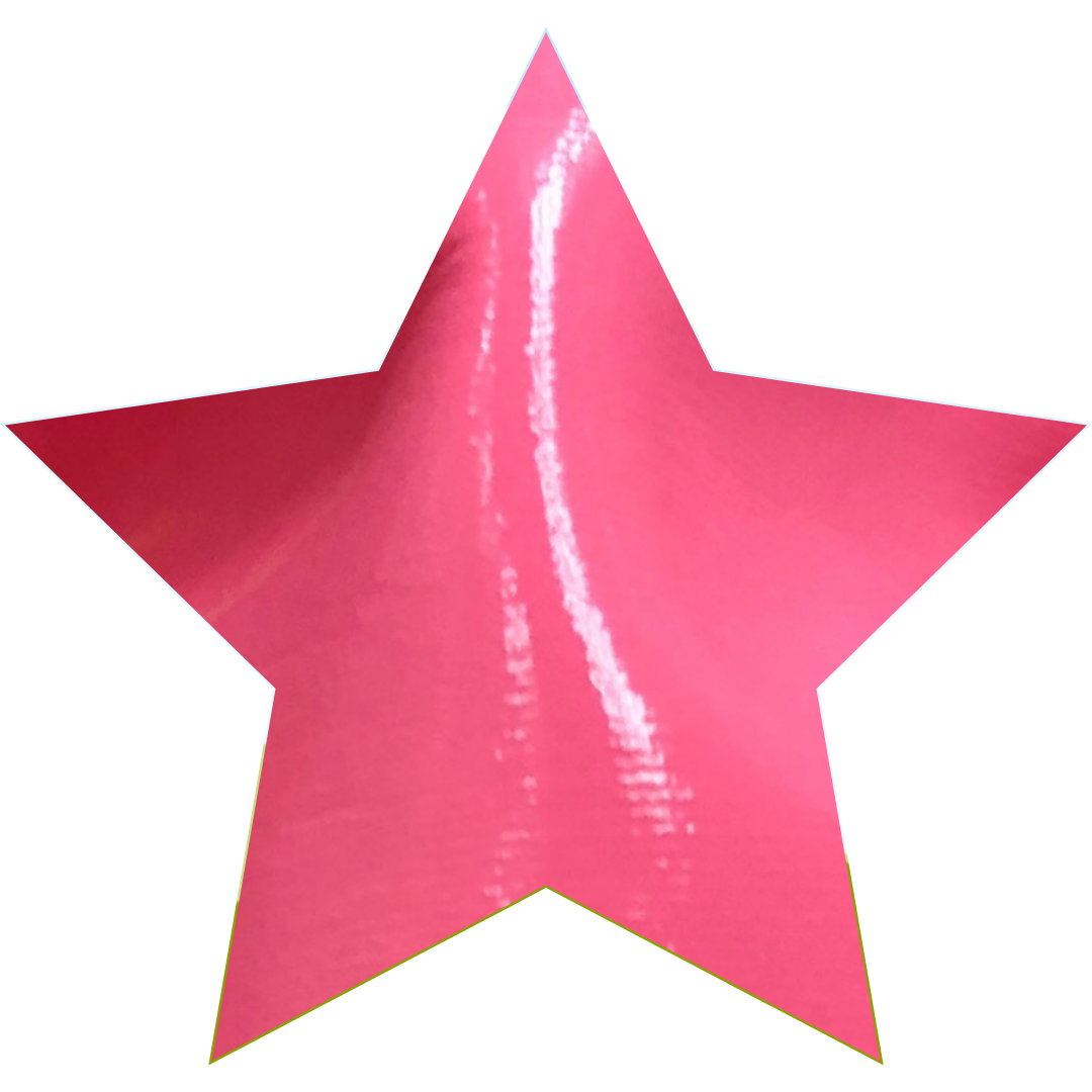 Candyland - Wholesale Two Piece Swimsuit - Women's - Bikini in Vinyl8