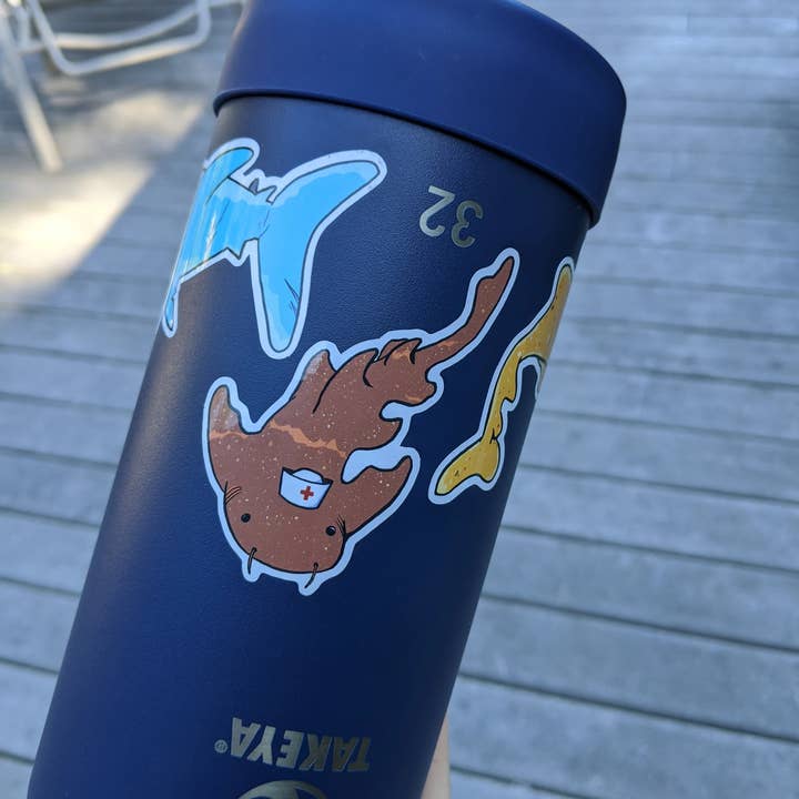 The Mighty Jackie - Wholesale Sticker - Nurse Shark Sticker2