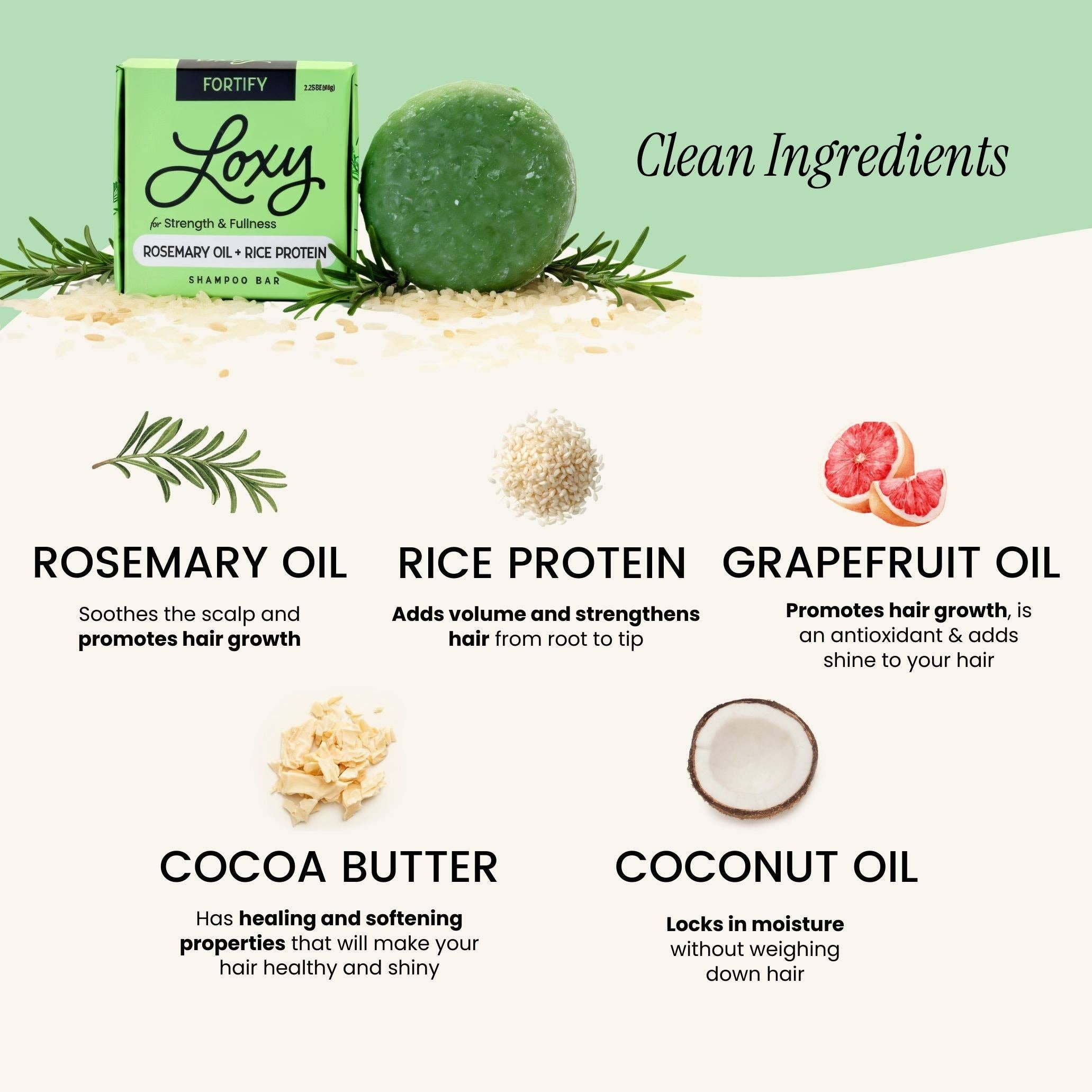 Loxy - Wholesale Shampoo Puck/Solid Shampoo - Fortify: Strengthening & Volumizing Shampoo Bar with Rosemary Oil & Rice Protein2