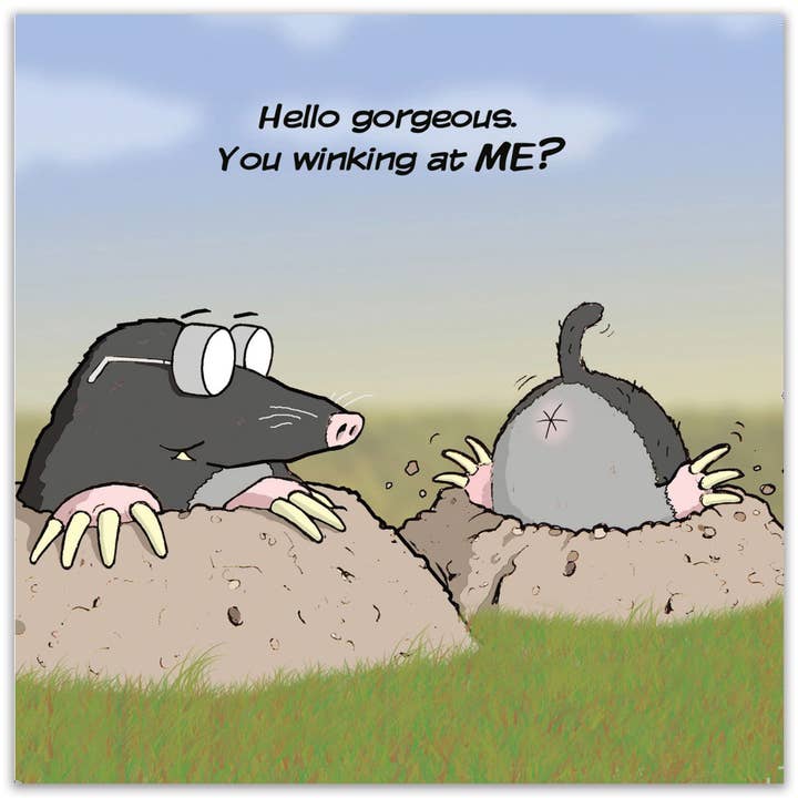 Twizler Ltd - Wholesale Everyday Greeting Card - Winking At Me - Funny Rude Card1