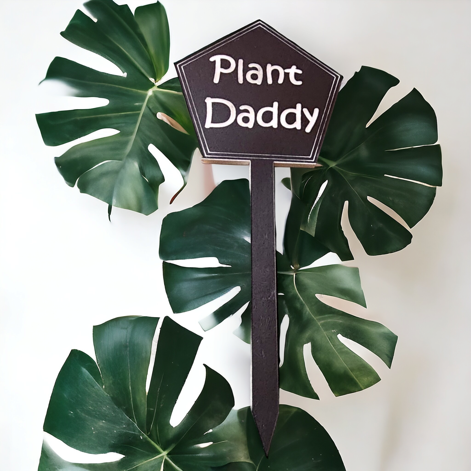 Olive Branch Laserworks - Wholesale Garden/Lawn Stake - Snarky Plant Stakes3