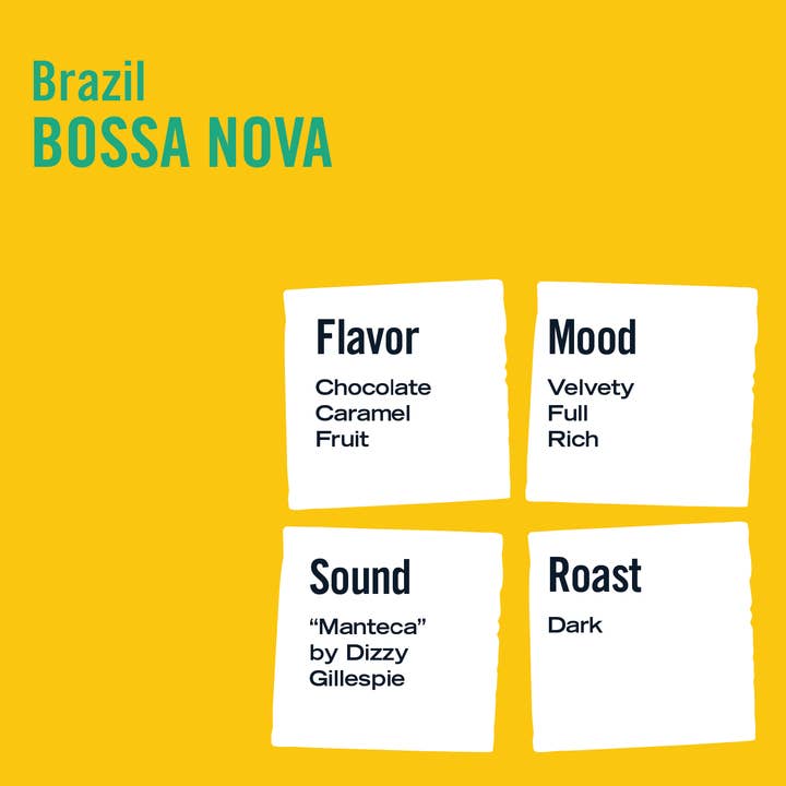 Three Keys Coffee - Wholesale Coffee Beans - Brazil Blue Nova - Single Origin1