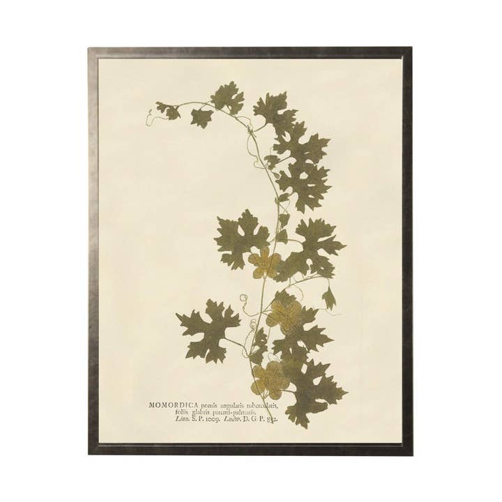 Vintage Neutral Flower Art On Ivory Background for wholesale by Antique Curiosities Inc