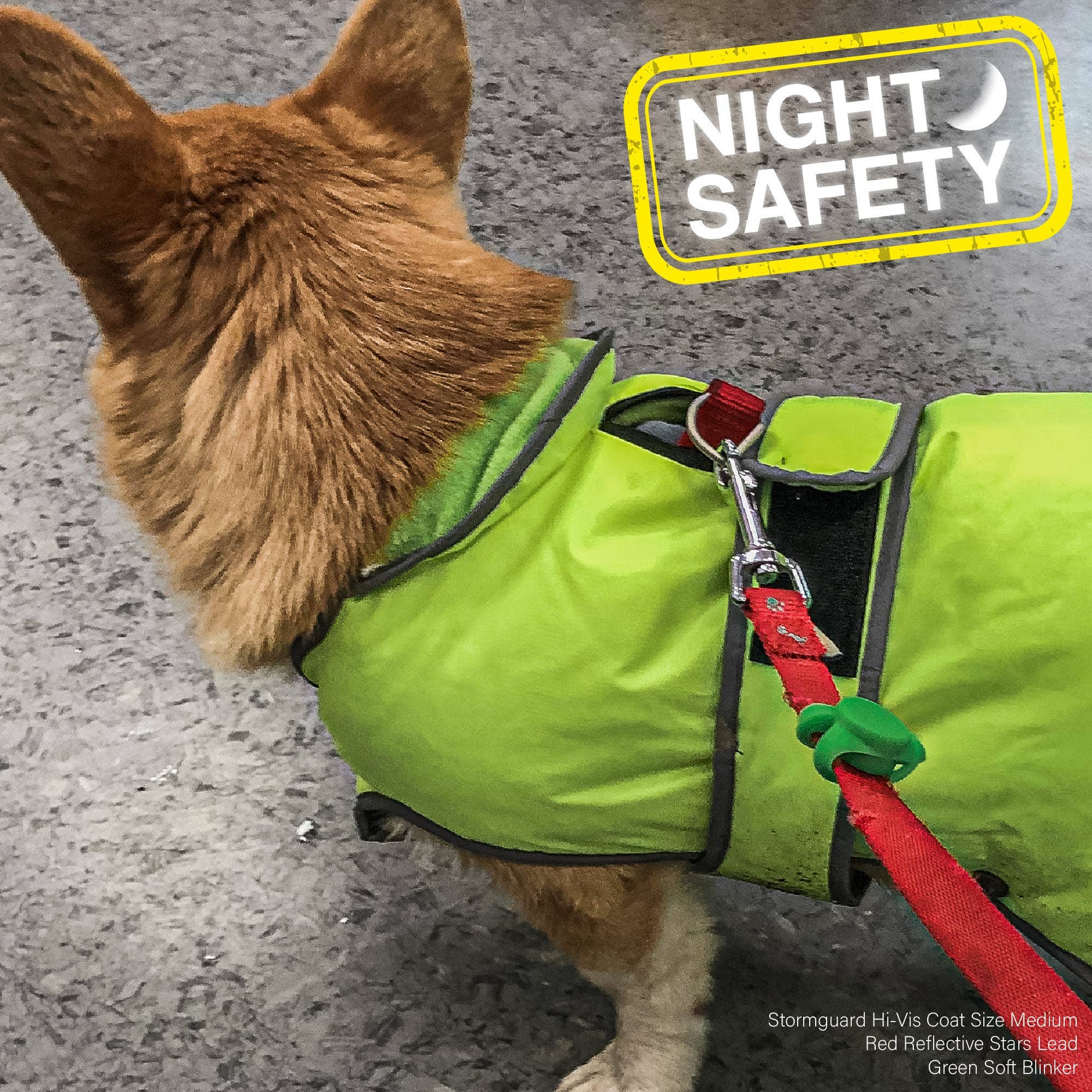 Ancol Pet Products Ltd - Wholesale Pet Collar - Dog - Soft Blinker7