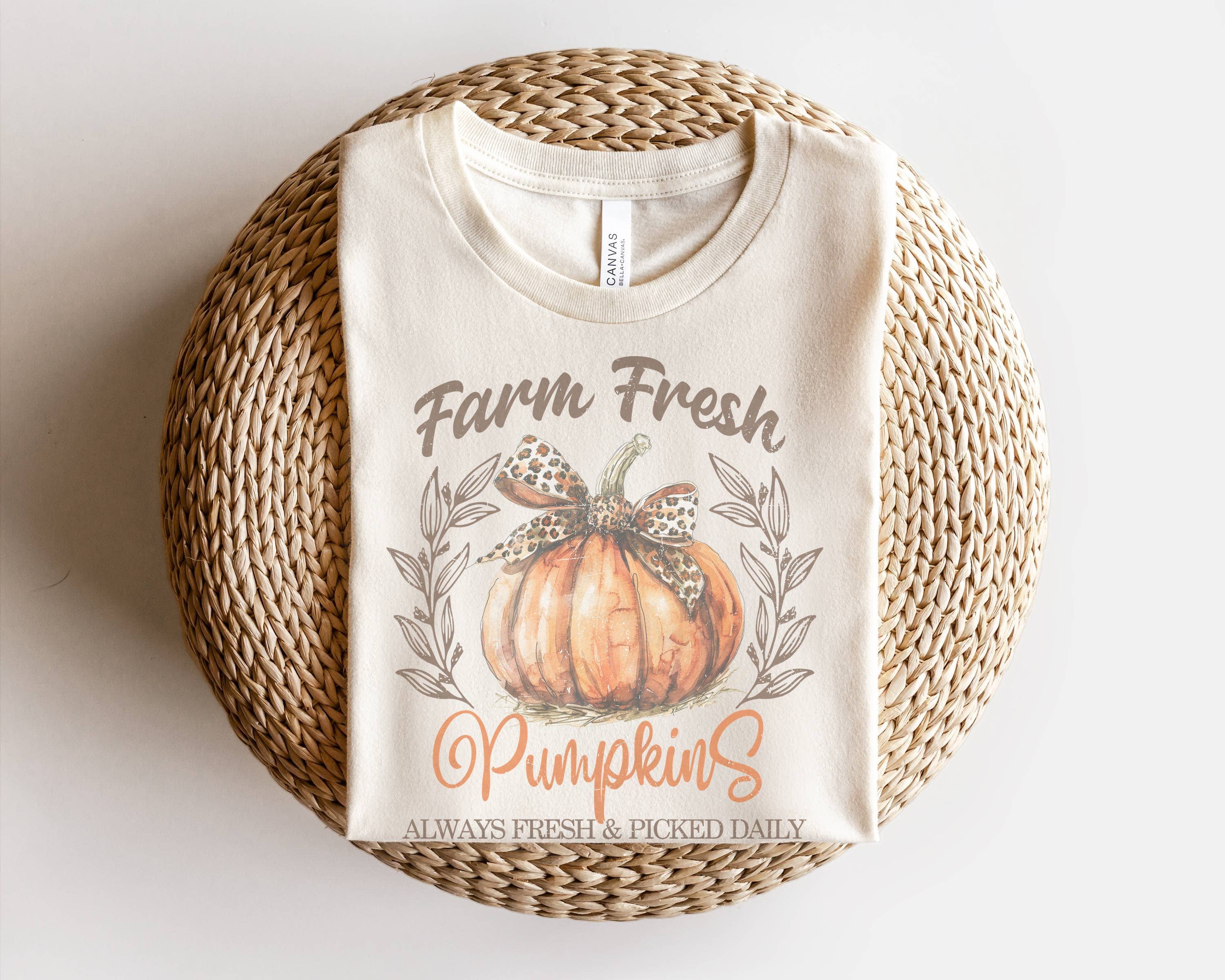 Amy Anne Apparel Inc – Engroshandel T-shirt med print - Dame – Farm Fresh Pumpkins Fall grafiske T-shirts til kvinder1