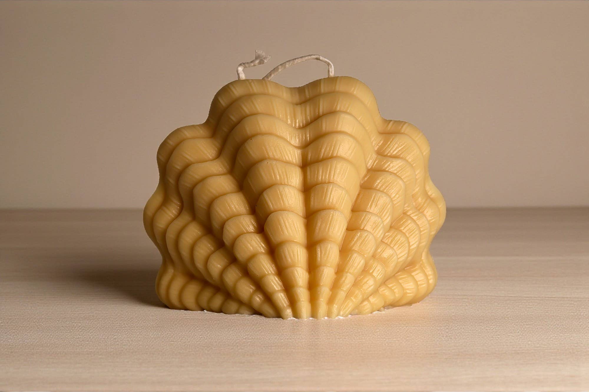 Agaboo Candle - Wholesale Novelty Candle - Large Ocean Shell Candle 4.5x5.5in - Shells - Shaped3