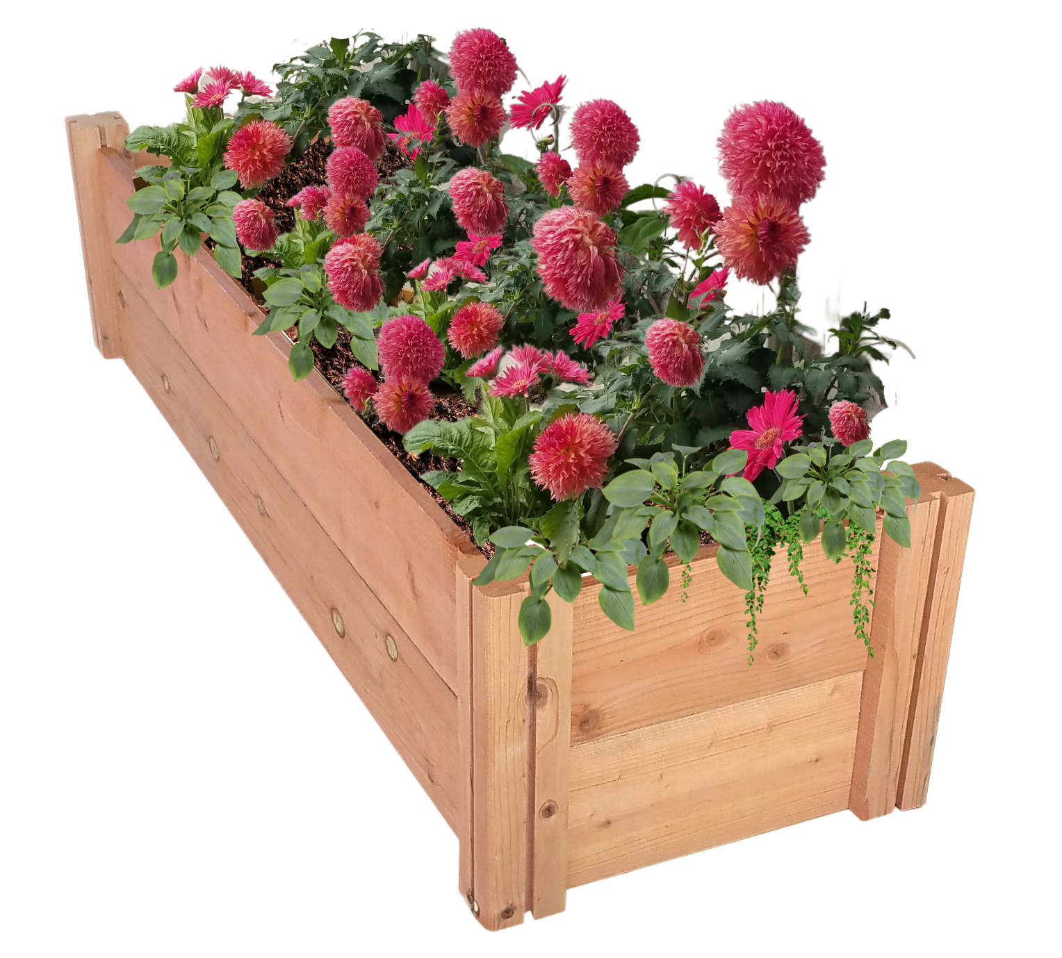 GrowGardens – suporte para vasos de plantas por atacado – GrowGardens 1' x 4' em Redwood Cama Jardim1