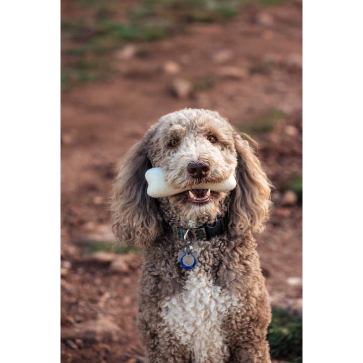 Fibres of Life - Wool & Felt - Wholesale Pet Toy - Dog - Felt Dog Bone Toy 2