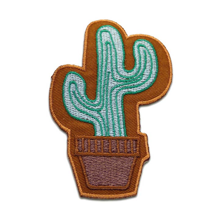 Jern-på patch - kaktus plante i pot for engroshandel hos Catch the Patch