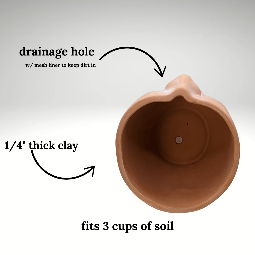 Simply Supplied Co - Wholesale Plant Pot - Face Planter | Terracotta Pot | Unique Planter | Head Pot1