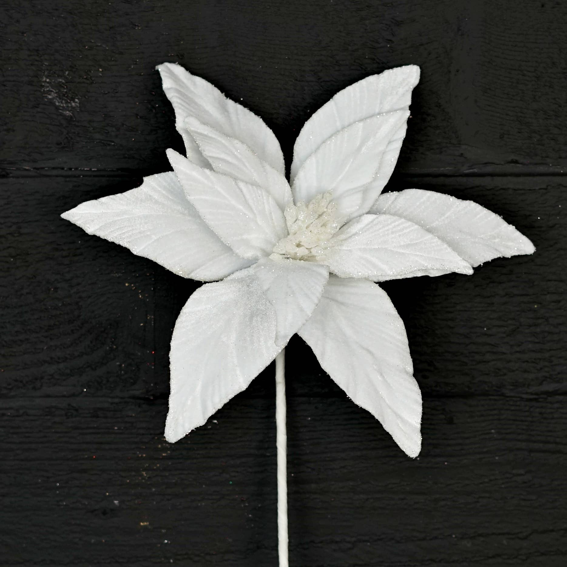 Holiday Depot Inc. - Wholesale Christmas Decoration - ISB73685- 12inD x 24inL Velvet Holly Point Poinsettia-White2