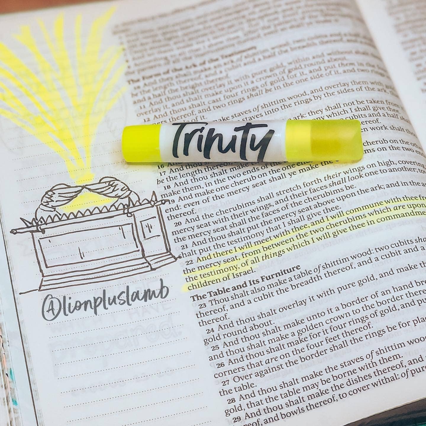 Lion + Lamb – wholesale Färgmarkering – Bible Safe Gel-Highlighterset för bibelstudier4