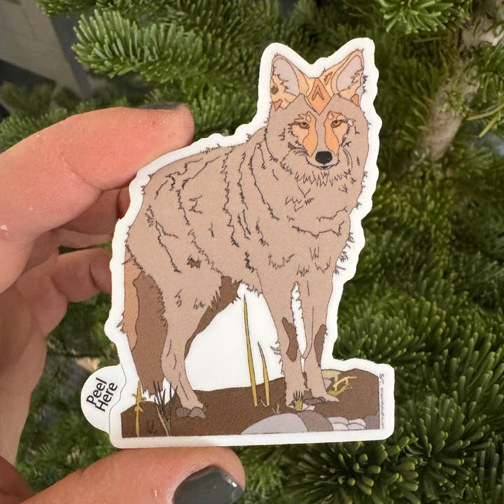 Artwork by Sophia - Venta al por mayor Pegatina - Coyote | Pegatina de vinilo | Dibujo a color | 3 pulgadas