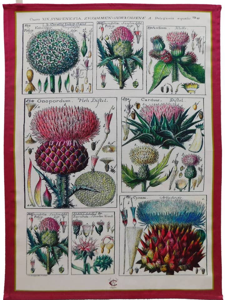 Thistle Antique Print Tea Towel 100% Cotton UK Made for wholesale by Wanda Coyne Collection