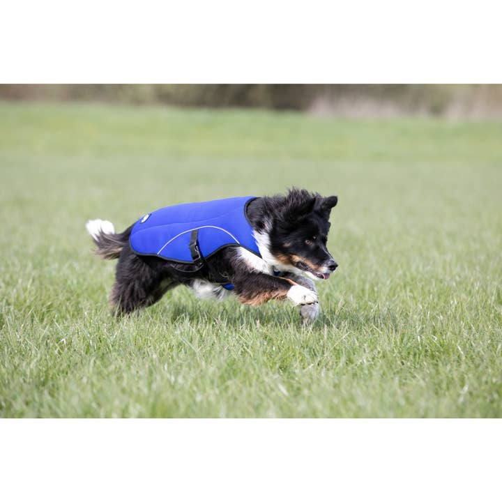 Paws & Presto - Venta al por mayor Chaleco - Perros - Chaleco refrescante para perros Paws & Presto3