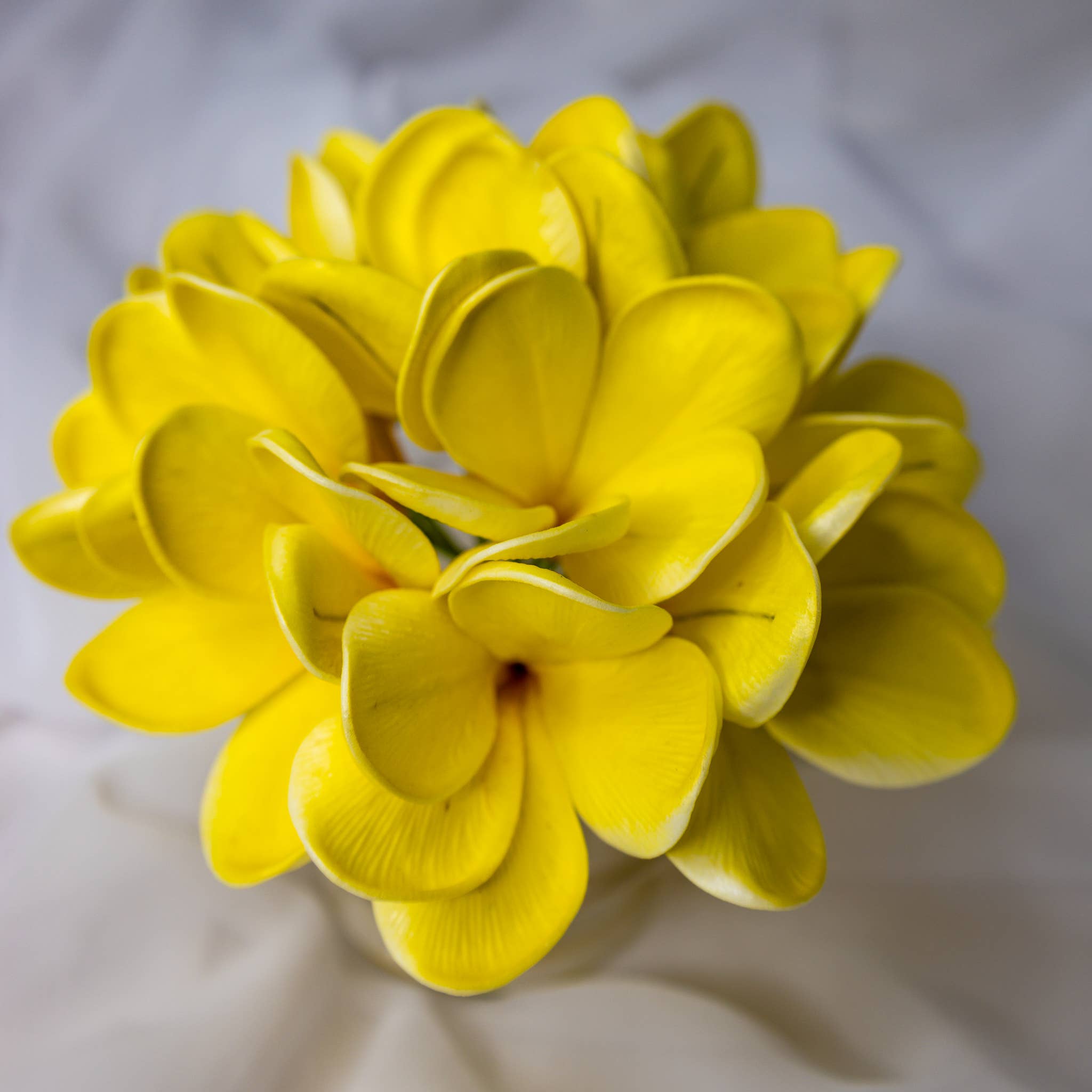 Realistic Artificial Flowers - Wholesale Artificial flowers - Bowen Frangipani Flowerhead 1